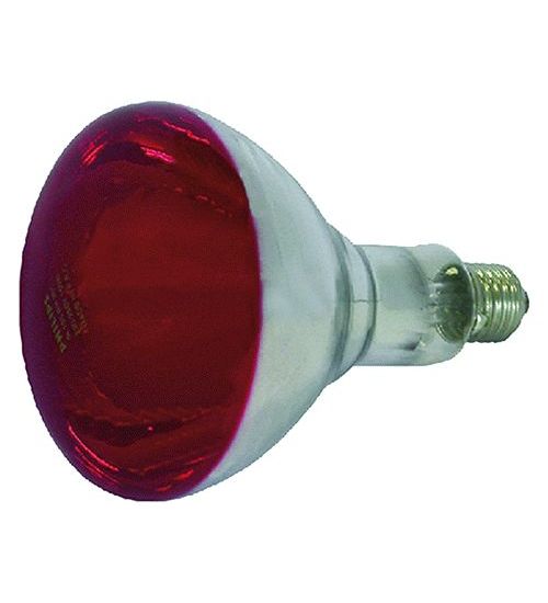 LAMPADA INFRAROSSI PER RIFLETTORE 150 W - E27